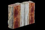 Tall, Arizona Petrified Wood Bookends - Red & Purple #87593-1